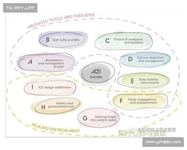 全面提升公众对澳洲杯赛事认知的多维度策略与实践路径深入探索法