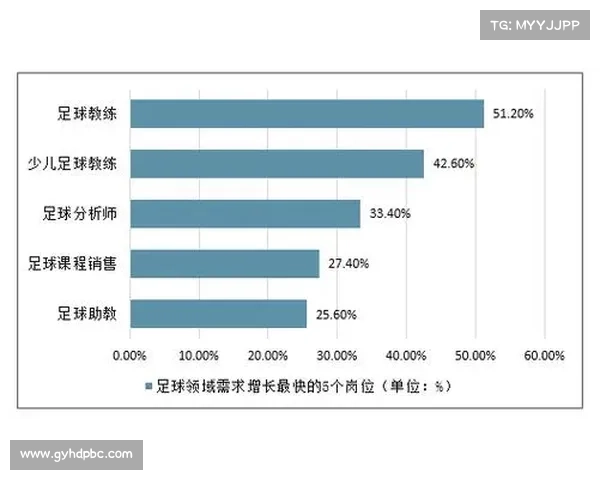 提升足球俱乐部盈利的七大财务策略与优化路径分析